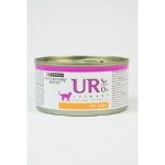 Purina PPVD Feline UR St/Ox Urinary Turkey 195 g – Zbozi.Blesk.cz