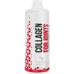 MST Nutrition Collagen for Joints 1000 ml ananas – Hledejceny.cz