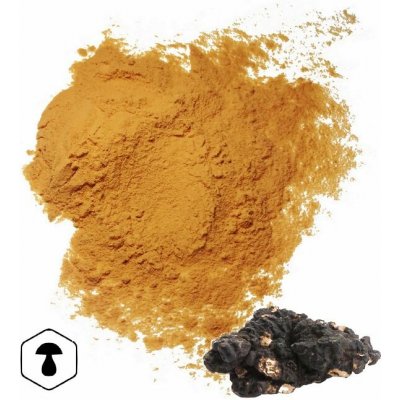 LifeChi Choroš oříš Polyporus umbellatus extrakt v prášku 50 g – Hledejceny.cz