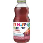 HiPP BIO ovocný nektar s jablkem a červenými hrozny 500 ml – Zboží Dáma