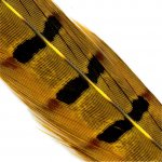 Hends Ocasní Pero z Bažanta Pheasant Tail Light Olive – Hledejceny.cz