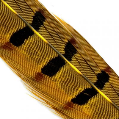 Hends Ocasní Pero z Bažanta Pheasant Tail Light Olive – Hledejceny.cz