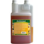 Trouw Nutrition Aminosol sol 1000 ml – Hledejceny.cz