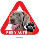 Grel nálepka na sklo pozor pes v autě výmarský ohař – Sleviste.cz