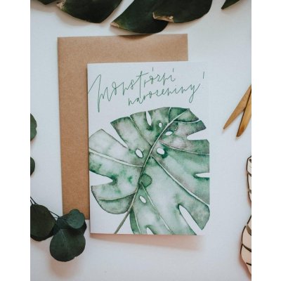 Be Nice EKO Přání Monstrózní narozeniny – Hledejceny.cz