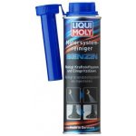 Liqui Moly 5129 Čistič benzínového systému motoru 300 ml – Zbozi.Blesk.cz