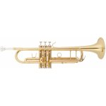 BACIO INSTRUMENTS BTR-01L – Zbozi.Blesk.cz