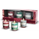 Heart & Home Vánoční stromeček + Zimní pohádka + Brusinkové mámení 3 x 49 g – Sleviste.cz