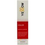 Alfaparf Yellow Color Coloring Cream 2 Darkest natural brown 100 ml – Zboží Dáma