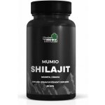 Naturprodukt Mumio Shilajit 90 tablet – Hledejceny.cz