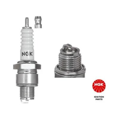 NGK Zapalovací svíčka (4110) – Hledejceny.cz