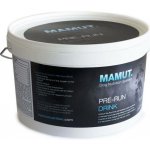 Mamut Energetický doplněk stravy Pre Run Drink 800 g – Hledejceny.cz