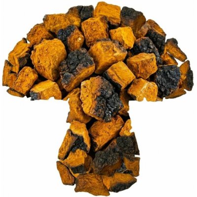 Richaga Čaga Sibiřská kousky 1000 g – Hledejceny.cz