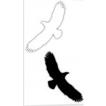 Traiva s.r.o Silueta dravce, proti narážení ptáků do oken - bílá, černá Verze: Samolepka 80 x 200 mm tl. 0.1 mm - bílá - Kód: 08761 – Zboží Dáma
