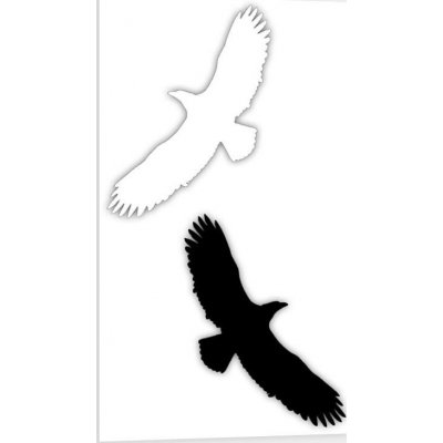 Traiva s.r.o Silueta dravce, proti narážení ptáků do oken - bílá, černá Verze: Samolepka 80 x 200 mm tl. 0.1 mm - bílá - Kód: 08761 – Zboží Dáma