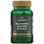 Swanson extrakt boswellia serrata, 125 mg, 60 kapslí – Hledejceny.cz