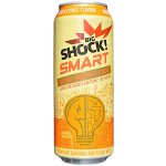 Big Shock! Smart Mango & Lychee 0,5 l – Hledejceny.cz
