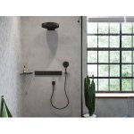 Hansgrohe 28387670 – Zboží Dáma