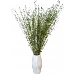 Řeřicha (Lepidium) stabilizovaná zelená svazek 60g – Zboží Dáma