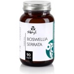 Sibyl Boswellia serrata 400 mg Pryskyřice kadidlovníku 90 kapslí – Sleviste.cz