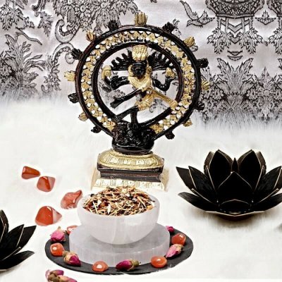 Nefertitis vykuřovací směs Vnitřní síla rituální vůně znovuzrození NF55578 20 g – Zboží Mobilmania