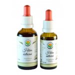 Salvia Paradise Hlíva ústřičná AF tinktura 30 ml – Hledejceny.cz