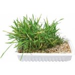 Trixie Tráva pro kočky miska 100g – Zboží Dáma