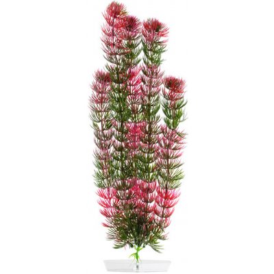 JK rostlina Red Anacharis 38-43 cm – Sleviste.cz