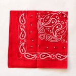 ETEX Dětský bavlněný šátek 55 x 55 cm kašmír červený – Zboží Dáma