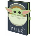 Cure Pink poznámkový blok Game of Thrones/Hra o Trůny: Stark A5 14,8 x 21 cm SR72401 – Zboží Živě