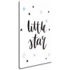 Obraz Impresi Obraz Little star - 40 x 60 cm