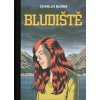 Komiks a manga Bludiště 3 - Charles Burns