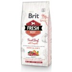 Brit Fresh Beef with Pumpkin Puppy Large 12 kg – Zboží Dáma