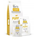 Brit Care Puppy Lamb & Rice 3 kg – Hledejceny.cz