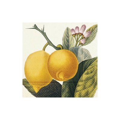 Papírový ubrousek Lemons – Hledejceny.cz