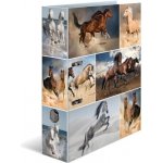 Herma Pořadač pákový 7cm A4 Koně – Zboží Živě