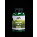 Swanson Full-Spectrum Tribulus Fruit 90 kapslí 500 mg – Hledejceny.cz