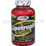 Amix Lipotropic Fat Burner 200 kapslí – Hledejceny.cz