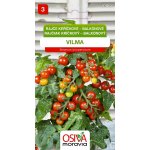 Rajče keříčkové balkónové - červené (Vilma) – Hledejceny.cz