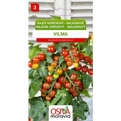 Rajče keříčkové balkónové - červené (Vilma) – Hledejceny.cz