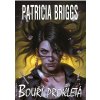 Elektronická kniha Bouří prokletá - Patricia Briggs