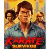 Hra na PC Karate Survivor