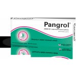 PANGROL POR 20000IU TBL ENT 20 II – Sleviste.cz