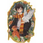 RAVENSBURGER Dřevěné obrysové Harry Potter 150 dílků – Sleviste.cz