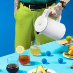 Niceboy ION SmartKettle Onyx Black – Sleviste.cz