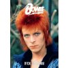 Kalendář David Bowie Poster 2024