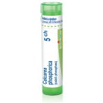 CALCAREA PHOSPHORICA POR 5CH GRA 1X4G – Hledejceny.cz