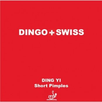 Dingo Swiss Ding Yi