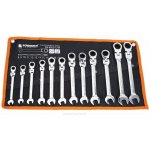 Powermat Očkoploché klíče s ráčnou ohýbatelné 8-19 mm sada 12 ks PM-KPLO-12TP – Hledejceny.cz