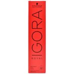 Schwarzkopf Professional Igora Royal Color 9-67 extra světlá blond čokoládová měděná béžová 60 ml – Zboží Mobilmania
